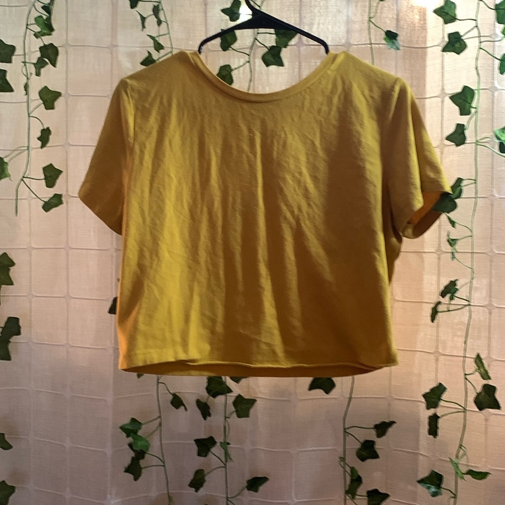 XXL CROP TOP